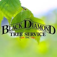 Black Diamond Tree Service