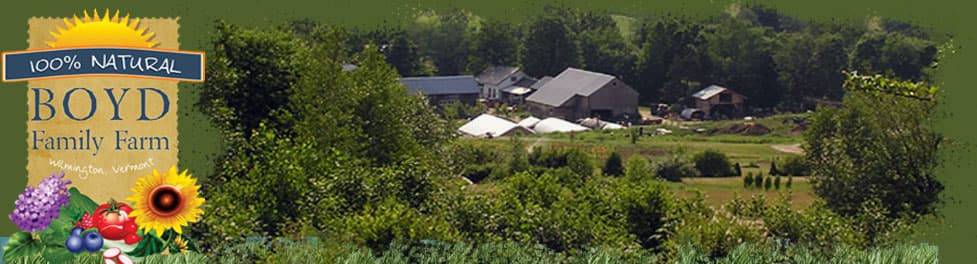 Boyd Family Farm