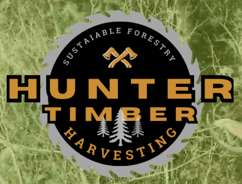 Hunter Timber Harvesting